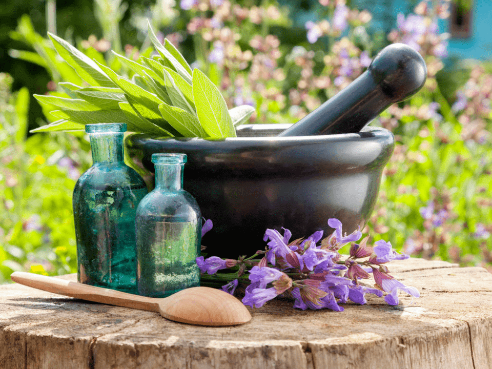 Herbs for healing baths for osteochondrosis.