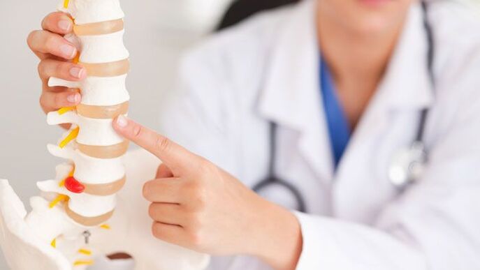 Explanation of lumbar osteochondrosis in a spine model.